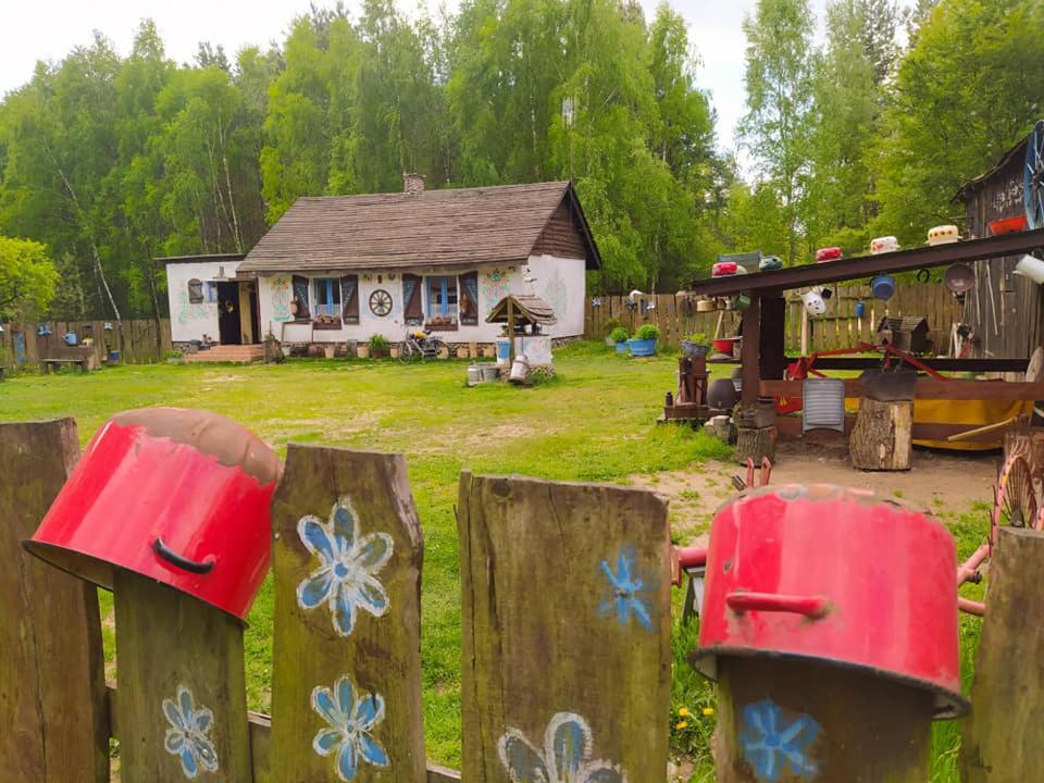 Zagroda Zalipie Gostynin Zewnętrze zdjęcie