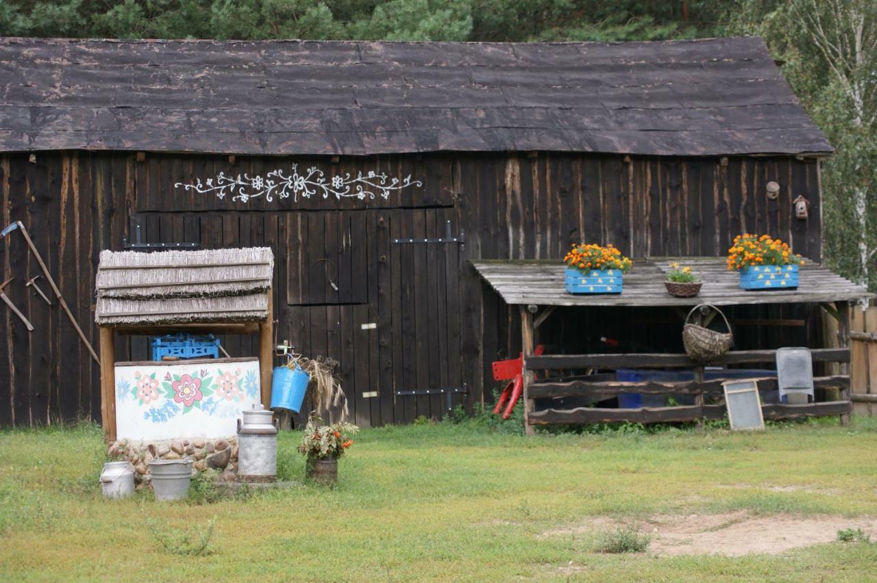 Zagroda Zalipie Gostynin Zewnętrze zdjęcie