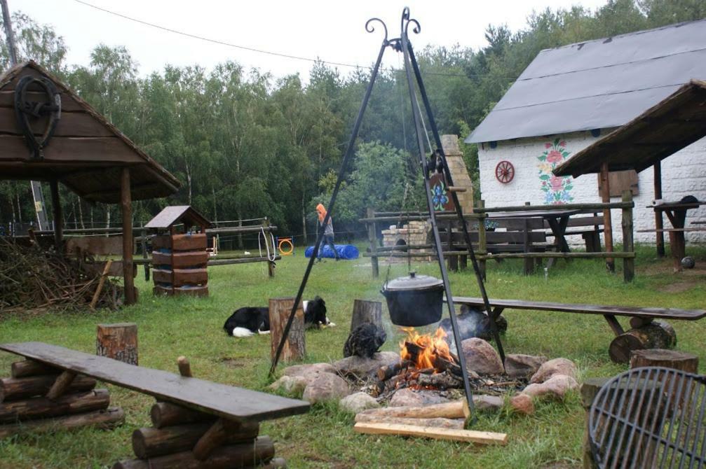 Zagroda Zalipie Gostynin Zewnętrze zdjęcie
