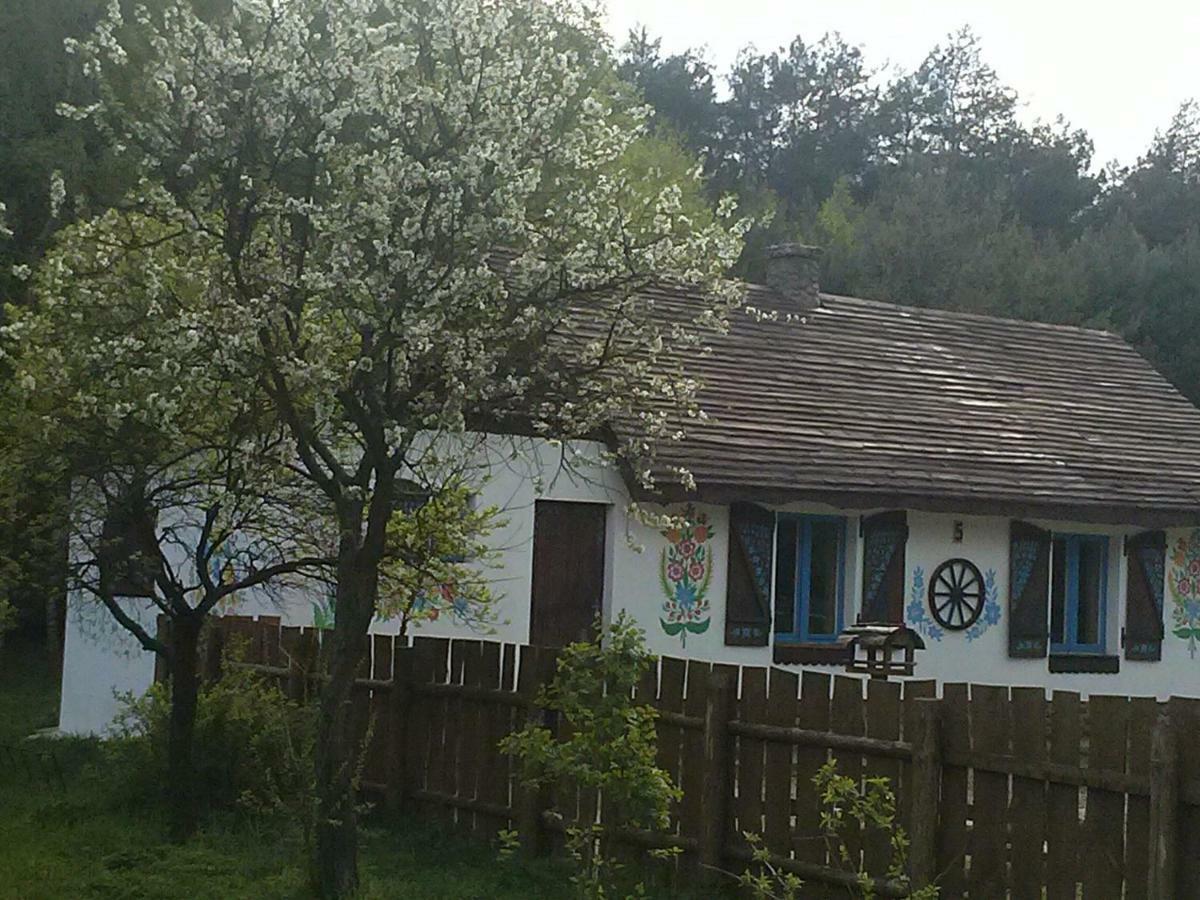 Zagroda Zalipie Gostynin Zewnętrze zdjęcie