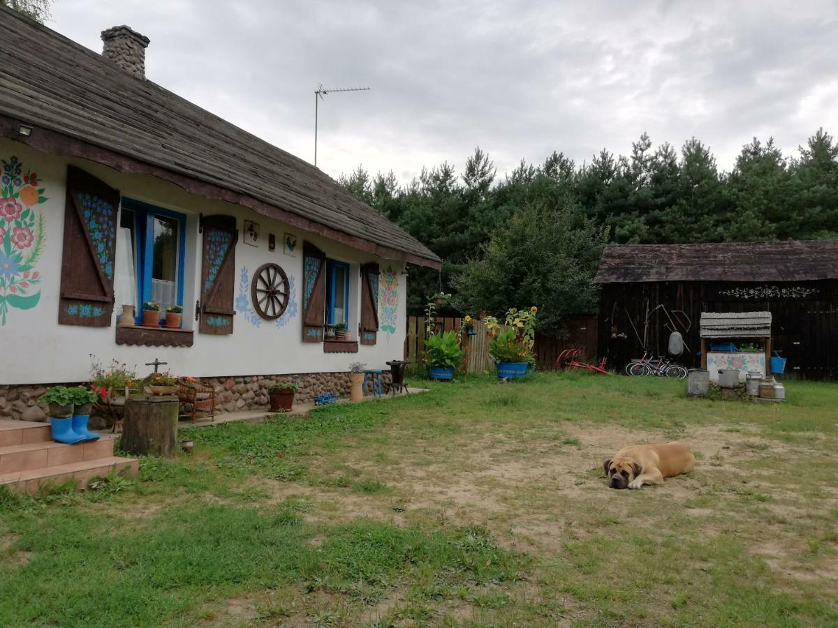 Zagroda Zalipie Gostynin Zewnętrze zdjęcie