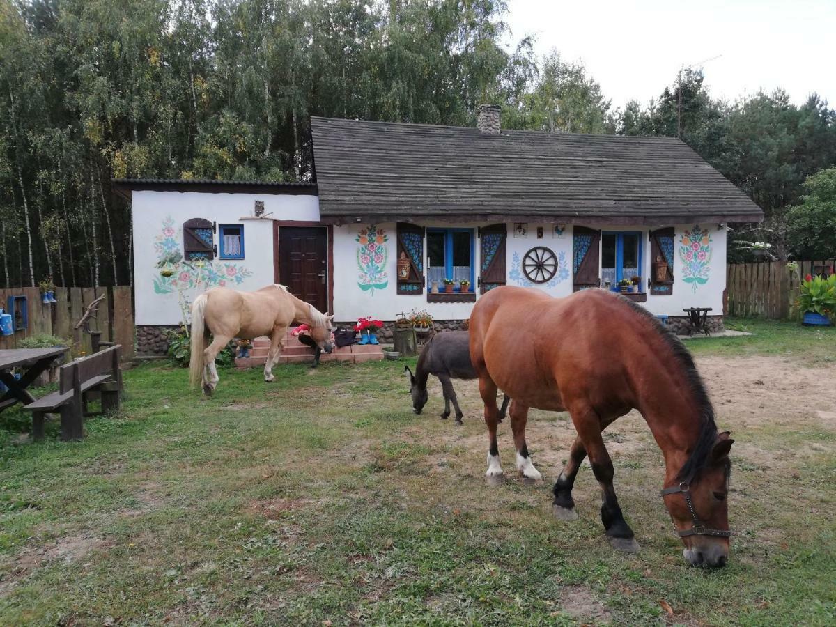 Zagroda Zalipie Gostynin Zewnętrze zdjęcie