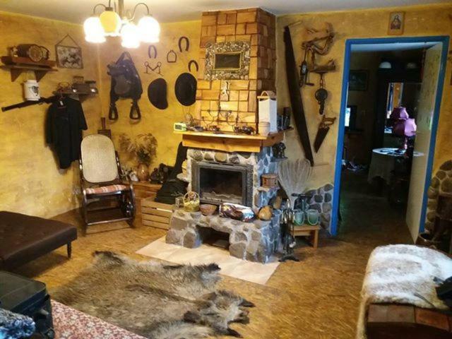 Zagroda Zalipie Gostynin Zewnętrze zdjęcie