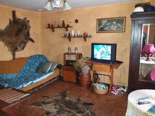Zagroda Zalipie Gostynin Zewnętrze zdjęcie