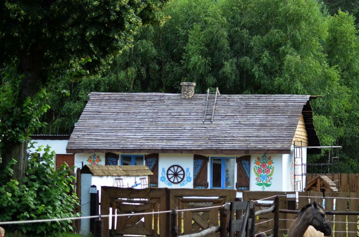 Zagroda Zalipie Gostynin Zewnętrze zdjęcie